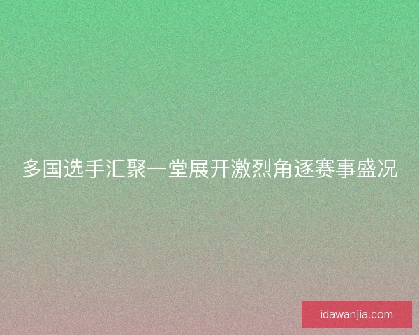 多国选手汇聚一堂展开激烈角逐赛事盛况