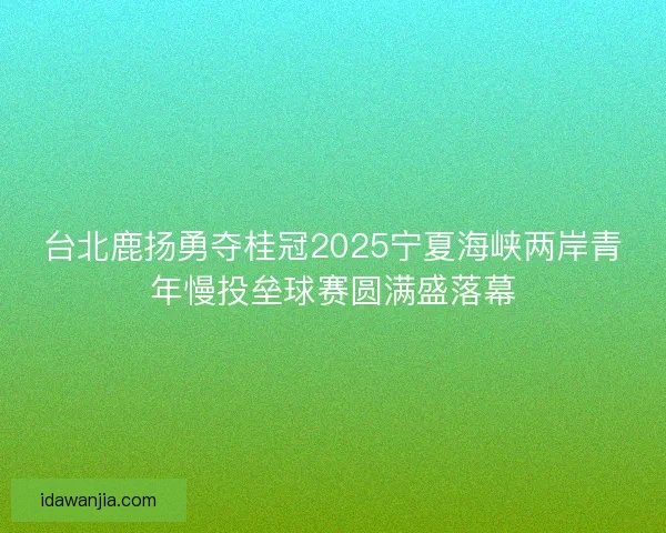 台北鹿扬勇夺桂冠2025宁夏海峡两岸青年慢投垒球赛圆满盛落幕 台北鹿扬勇夺桂冠2025宁夏海峡两岸青年慢投垒球赛圆满盛落幕