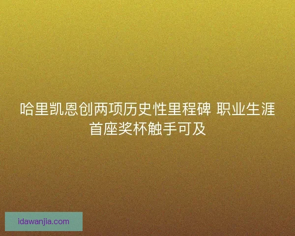哈里凯恩创两项历史性里程碑 职业生涯首座奖杯触手可及 哈里凯恩创两项历史性里程碑 职业生涯首座奖杯触手可及