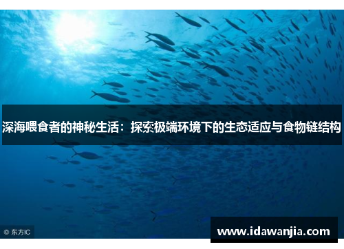 深海喂食者的神秘生活：探索极端环境下的生态适应与食物链结构